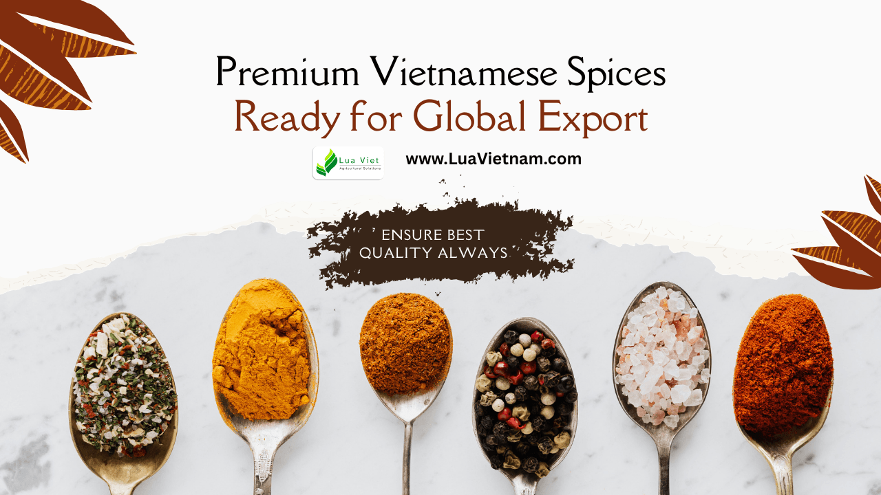 Premium Vietnamese Spices — Ready for Global Export
