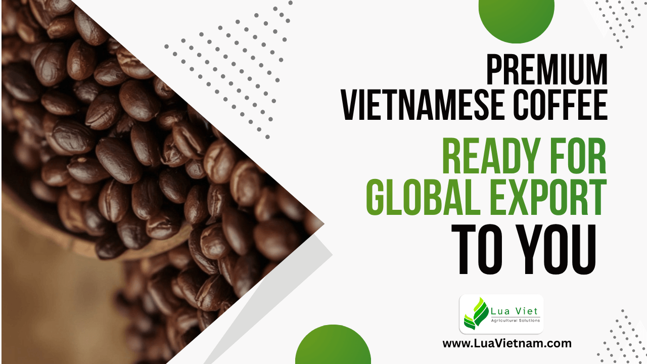 Premium Vietnamese Coffee — Ready for Global Export