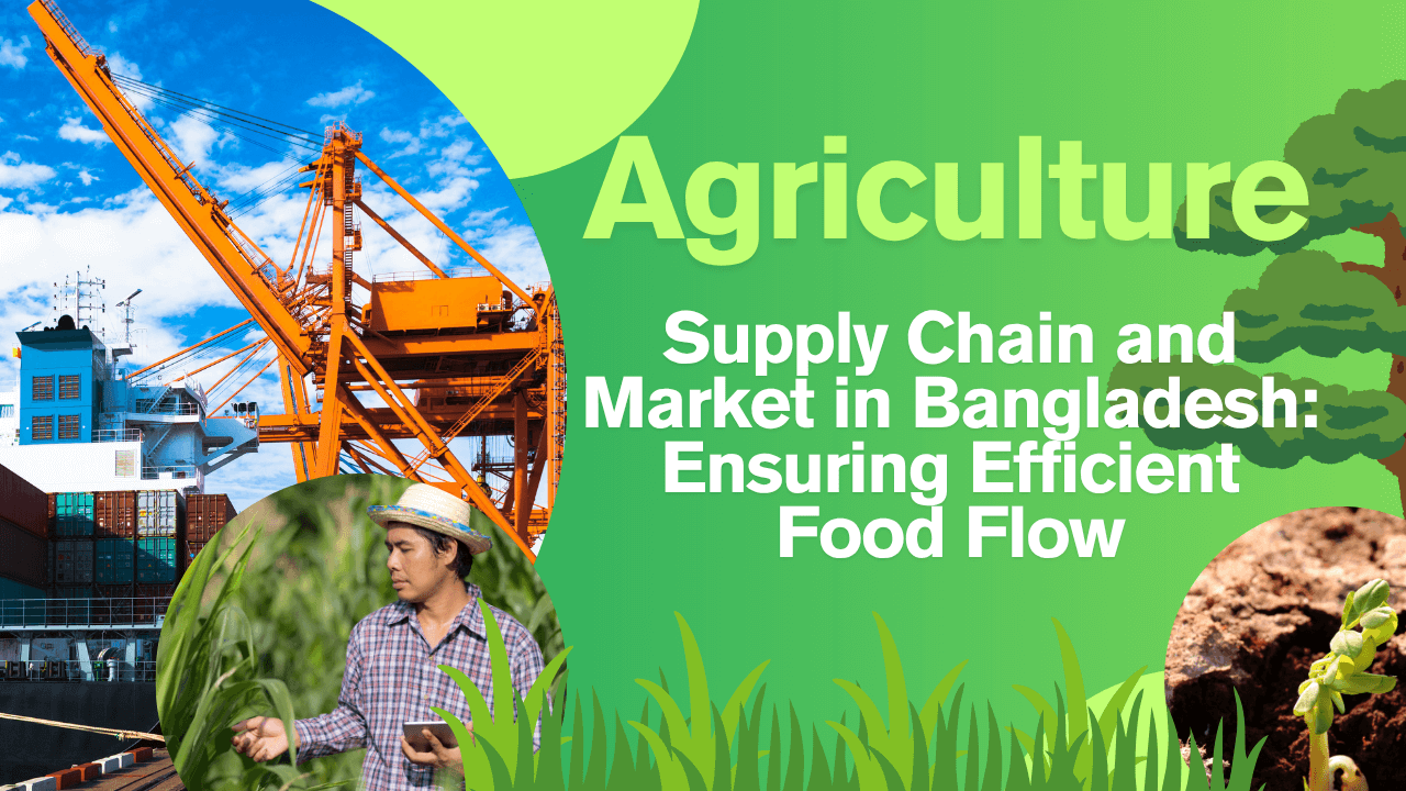 Agricultural Supply Chain and Market in Bangladesh Ensuring Efficient Food Flow